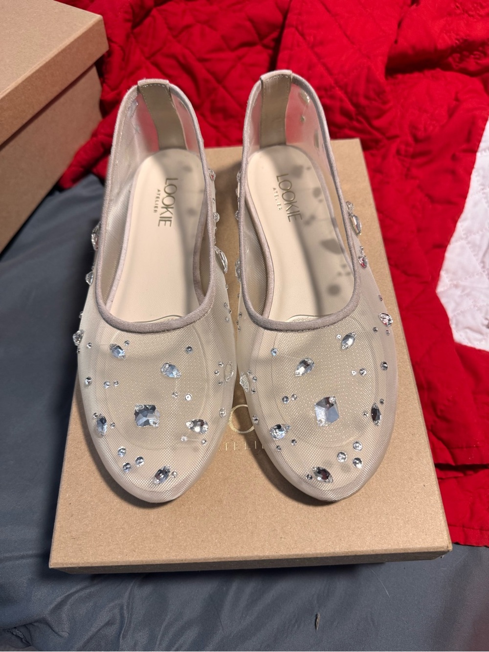 Embellished Nude Mesh Ballet Flats with Crystal Accents - Picture 2 of 7